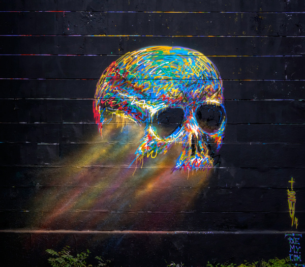 skull vienna #graffiti #paint #spray #skull