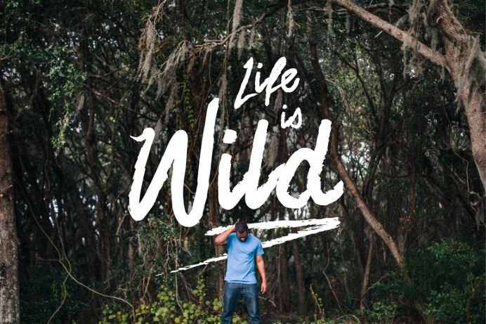 Life is Wild