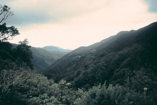 Jack Hammond | PICDIT #photo #photography #landscape