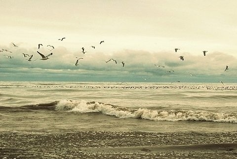 Kill Yourself » Every Reason to Panic #photo