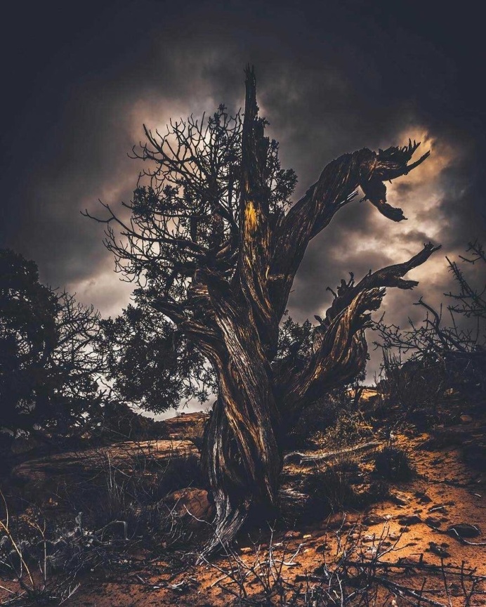 Stunning Travel Instagrams by Camaran Khiev