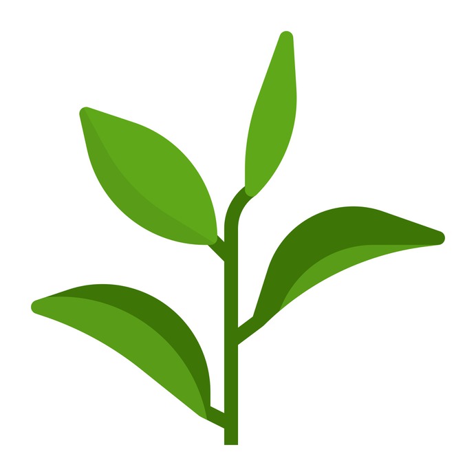 See more icon inspiration related to plant, leaf, sprout, garden, aroma, scent, green tea, properties and nature on Flaticon.
