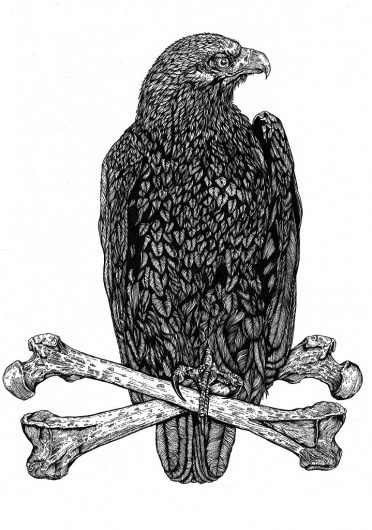 FRENCH #illustration #eagle #french