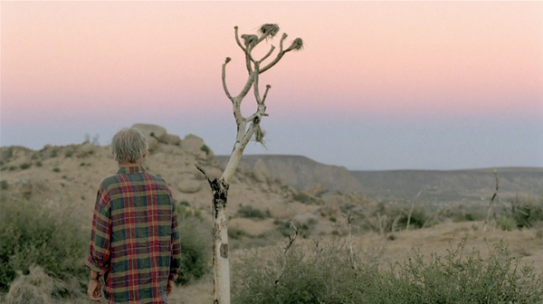 Ed Ruscha Woody and the Worlds Hottest Pepper #photography #ed #ruscha