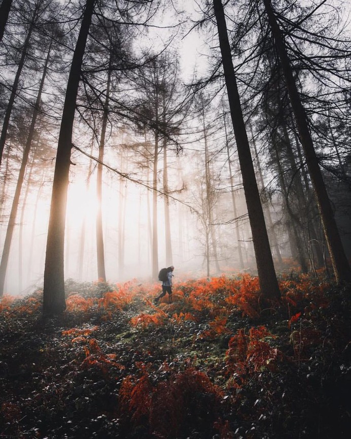 Wonderful Outdoor and Landscape Photography by Luke Stackpoole