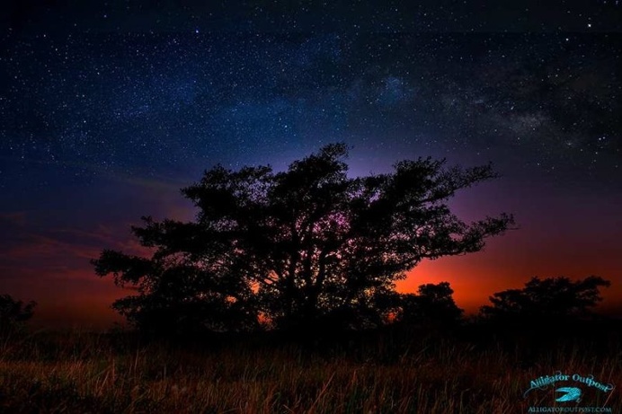 Milky Way Photography by Mark Andrew Thomas