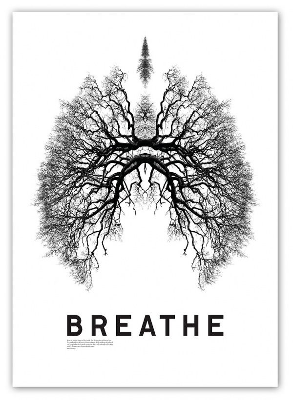 848246317_e4027c95ba_b.jpg (JPEG Image, 749 × 1024 pixels) - Scaled (59%) #breathe #lungs #tree