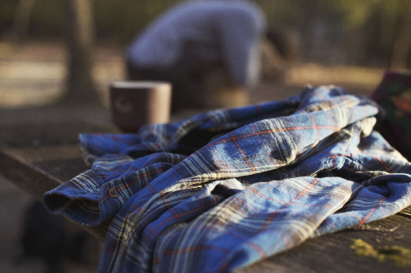 Plaid ALDRTREE #photography #stlye