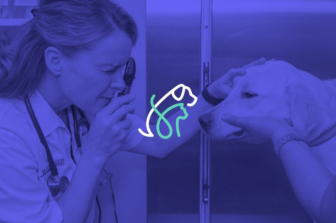 Veterinarian Services Photography #houston #animals #design #branding #logo #photography