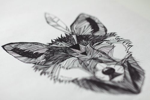 happy fox #lines #white #fox #structure #feather #black #illustration #drawing