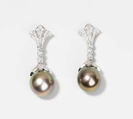 Tahiti Culture Pearl Earrings