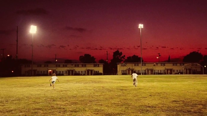 Flying lotus #field #red #sky #lit #playing #flying #flood #lotus