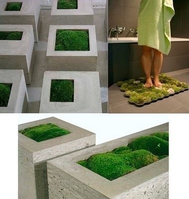 10 Most Stylish Plants on Interior Design for 2010 ~ home of the GoodLorax #plant