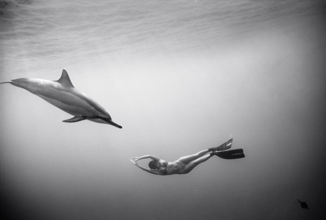 Black and White Underwater Photography by Wayne Levin #inspiration #white #black #photography #and