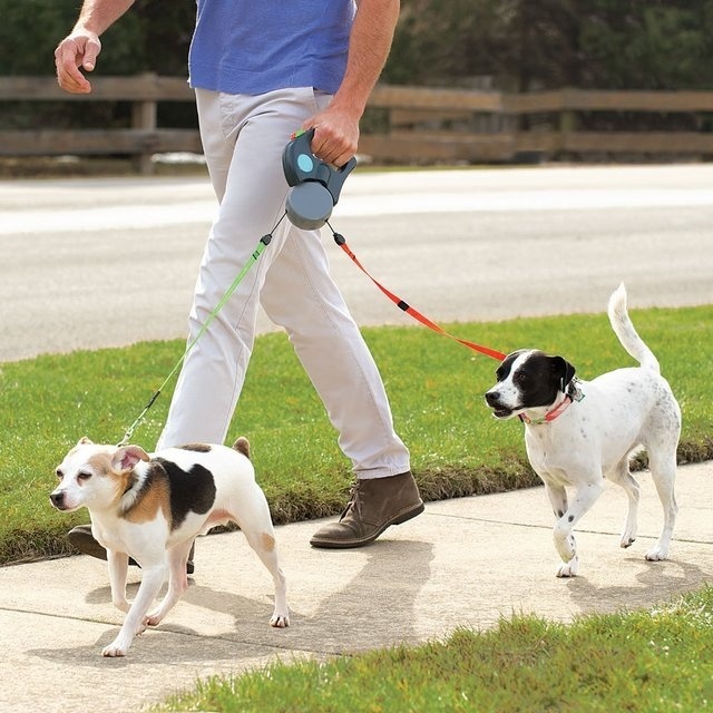 Tangle Free Dual Dog Leash #tech #flow #gadget #gift #ideas #cool