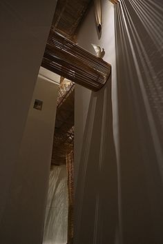 Growing of Things by FengYu / Devebuild www.devebuild.com
