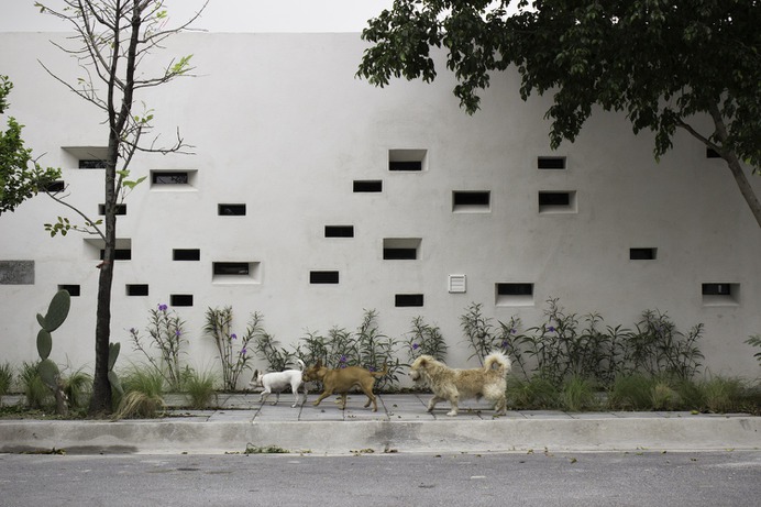 Papagayo House / Ariel Valenzuela + Diego Ledesma,© Ariel Valenzuela + Diego Ledesma