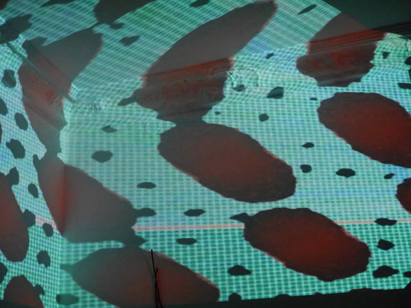 Sous bois Laura Knoops | Designer & VJ #live #knoops #beam #photobooth #vienna #bois #video #vj #vjing #sous