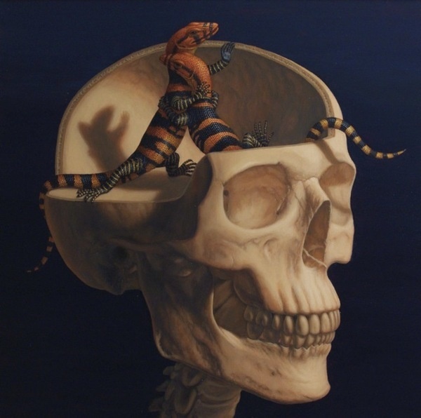 Skeletal Figures by Sandra Yagi #skeleton #salamander #sandra #yagi #alchemy #illustration #reptile #skull #lizard