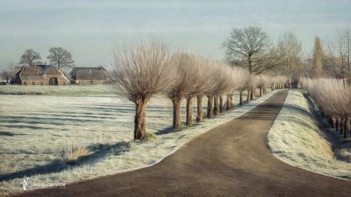 Mysterious Nature Photography by Lars van de Goor