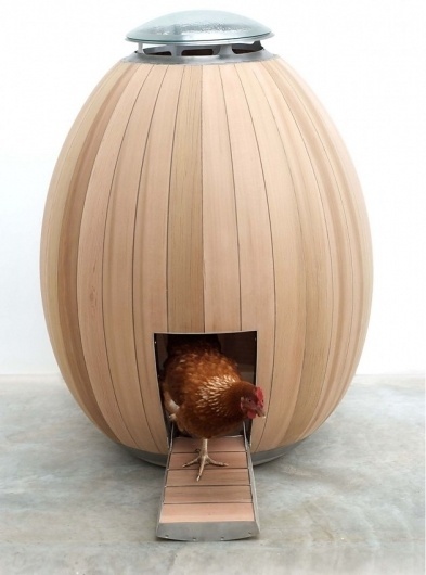 Modern chicken coop #home #architecture #chicken