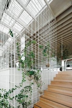 The Birdcage marquees at the Melbourne Cup Carnival are carefully orchestrated interiors for the theatre of social exchange.