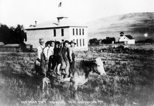 All sizes | Her daily duty | Flickr - Photo Sharing! #history #cow