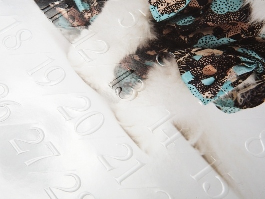 Studio Lin — High-res Special | September Industry #calendar #letterpress #cat