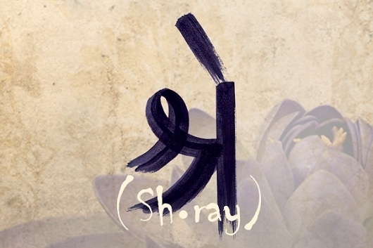 Chaiti Mehta Design | Shray The Store #script #gra #india #print #design #graphic #mumbai #store #brand #indian #purple #retail #brush #logo #lotus