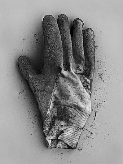 Portfolio | Special Projects « RANKIN #rubbish #photography #rankin