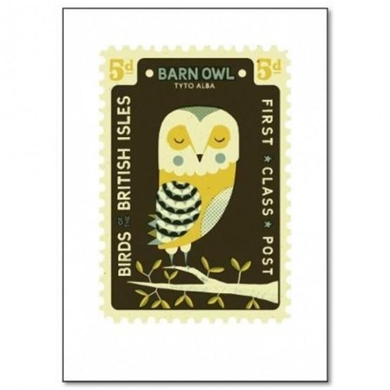 owl