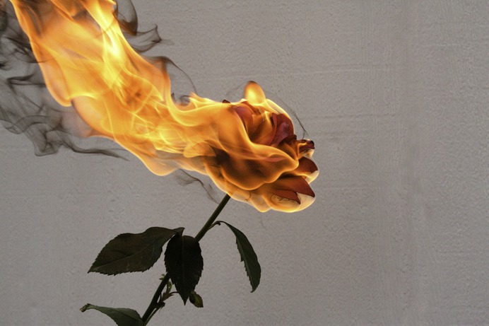 O amor não é senão o desejo; e assim, o desejo é o princípio original de que todas as nossas paixões decorrem, como os riachos da sua origem; por isso, sempre que o desejo de um objecto se acende nos nossos corações, pomo-nos a persegui-lo e a...