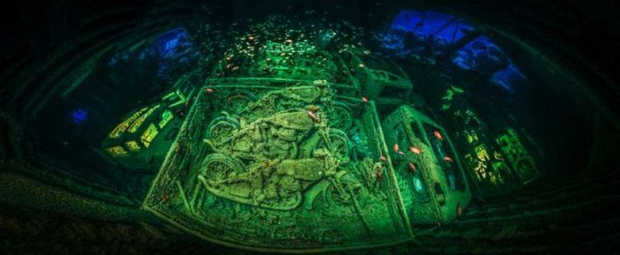 The Stunning Winners of Underwater Photographer of the Year 2018