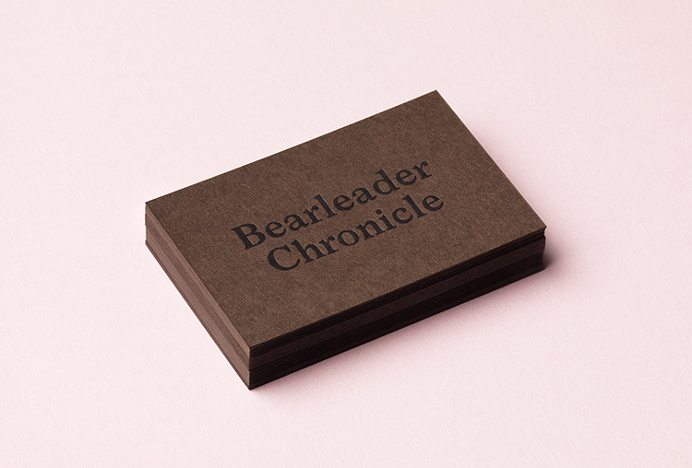 Bearleader by The Studio #graphic design #colourful #business cards #typography