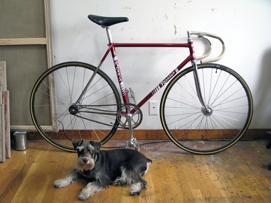 Early 80's Rossin Pista - Pedal Room #rossin #track #dog
