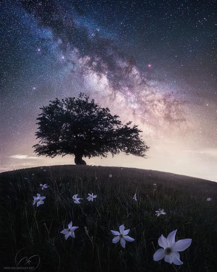 Beautiful and Extraordinary Landscape Photography by Nico Rinaldi