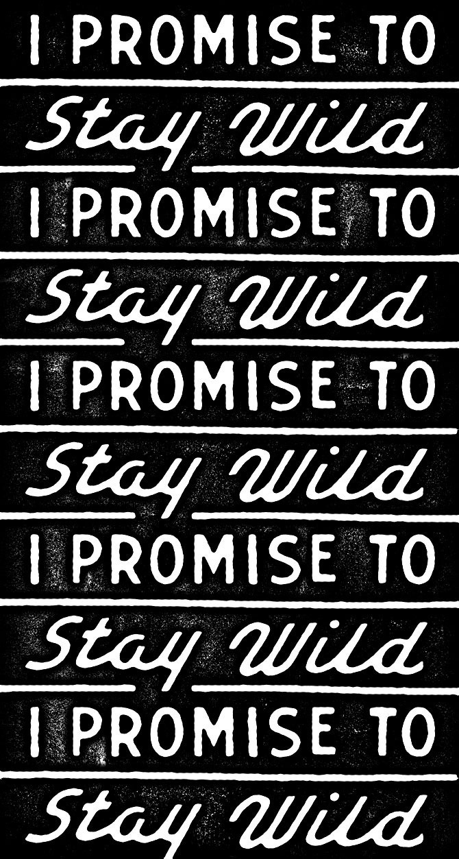 Stay Wild - Dan Cassaro #creed #typography #hand drawn