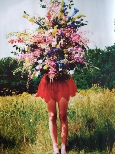 STE△L EVERYTHING #flower #photography #woman