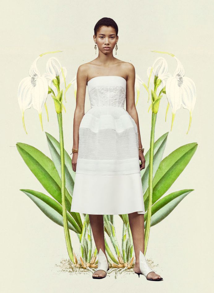 Miss Moss: Botanical Resort. Colour Mash Ups of Resort 2016 x Vintage Botanical Illustrations