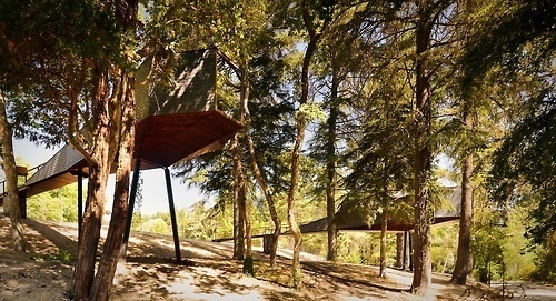 CJWHO ™ (Tree Snake Houses, Bornes de Aguiar, Portugal by...) #construction #design #treehouse #portugal #wood #architecture