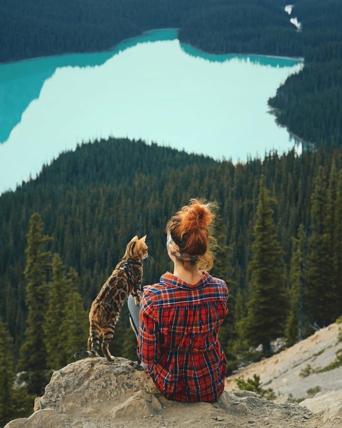 Meet Suki, The Adventure Wondercat Who Became an Instagram Star