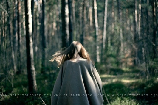 Silent Blossom #silent #artistic #blossom #wood #photography #film