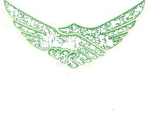 Aquiladribbble #animated #gif #hands #wings #shake