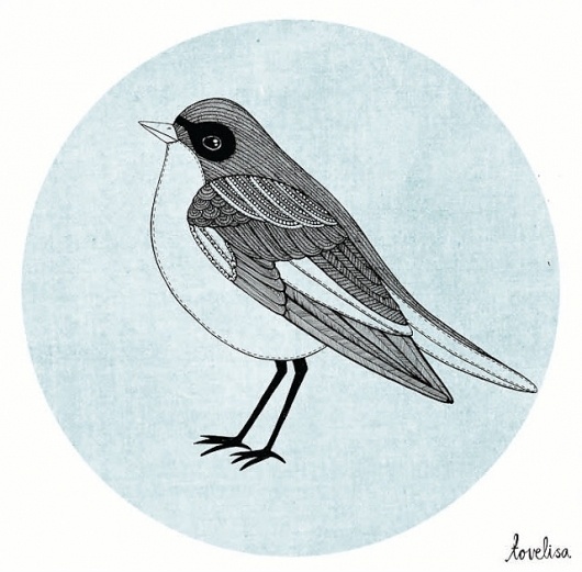 Tovelisa: Illustration #illustration #bird