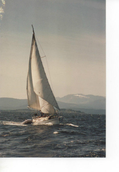 sailboat #sailboat