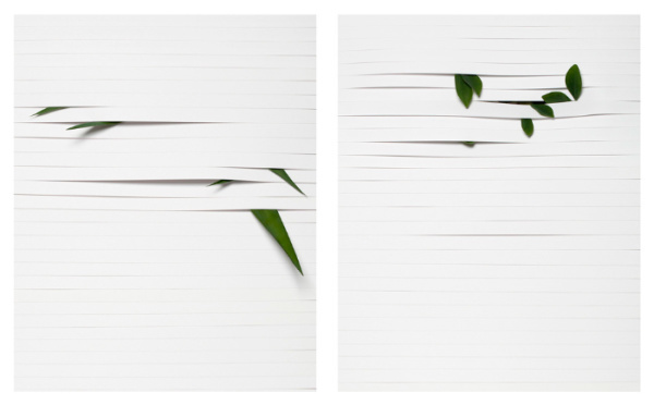 Martina Lang | PICDIT