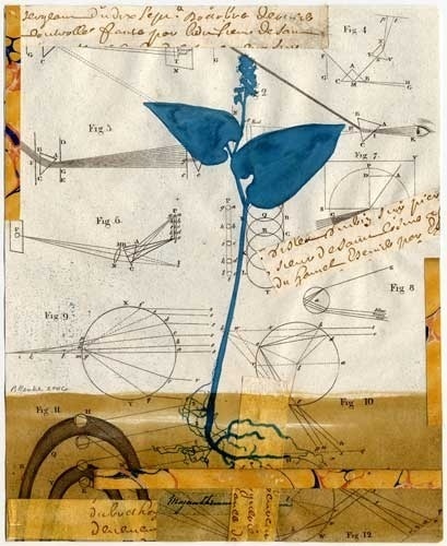 diagram collage #collagediagram