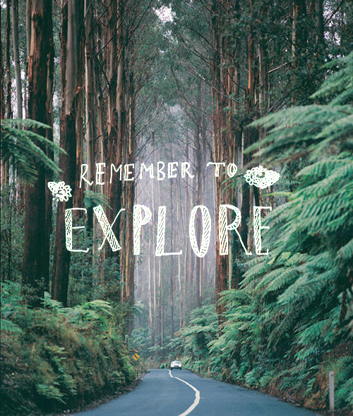 Dailymovement #adventure #forest #explore #trees