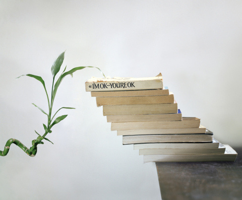 Bridget Collins | PICDIT #photo #photography