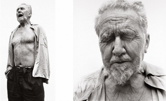 avedons_pound_1958.png 914×557 pixels #photography #richard #avedon